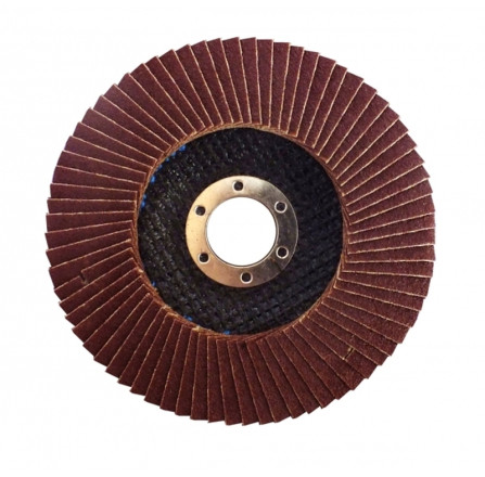 Круг шлифовальный Werk А100 (WE107293)